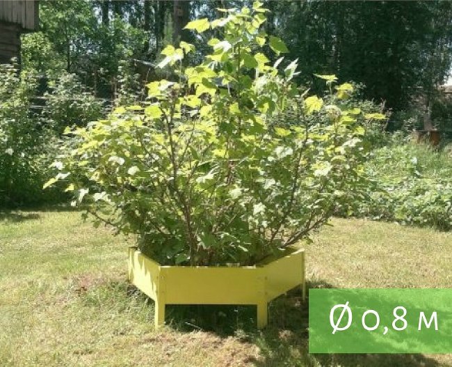 Клумба "Сота" 400 в Омске